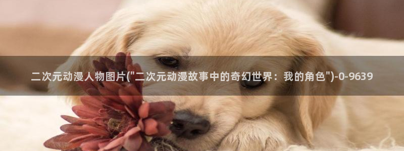 免费动漫