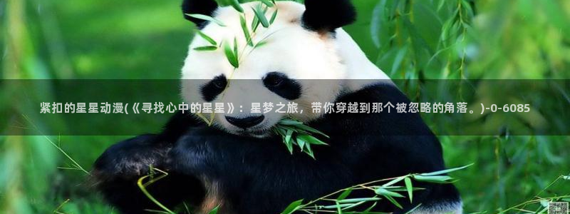 动漫国
